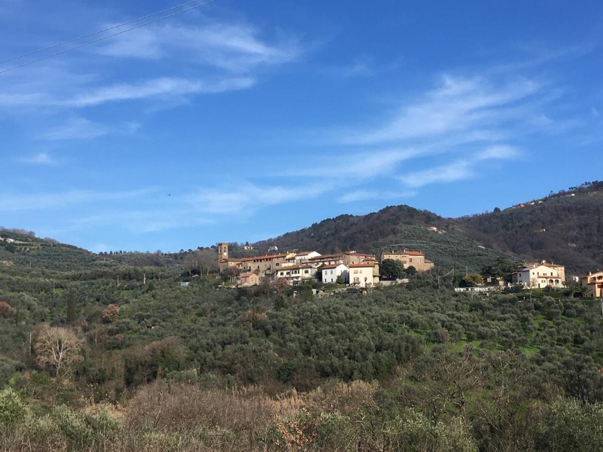 Agriturismo La Casina Nel Vigneto Larciano Luaran gambar