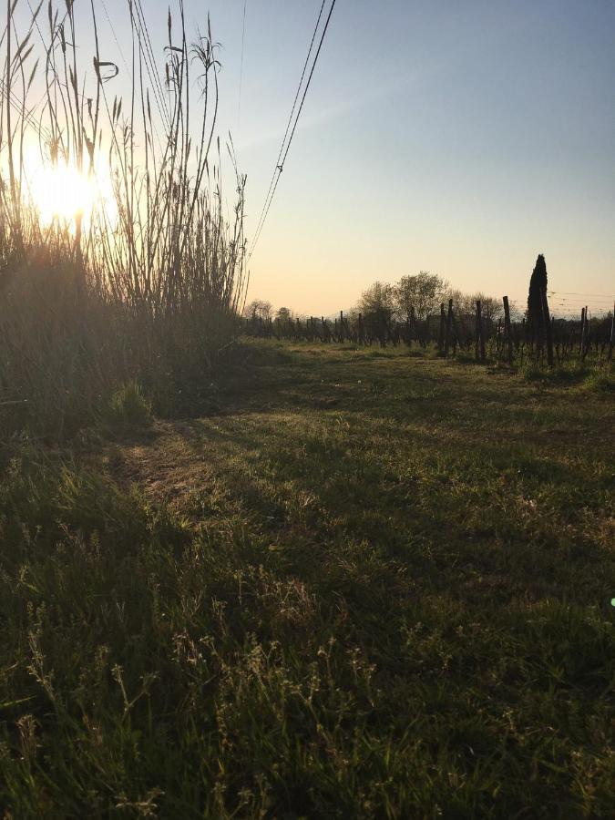 Agriturismo La Casina Nel Vigneto Larciano Luaran gambar