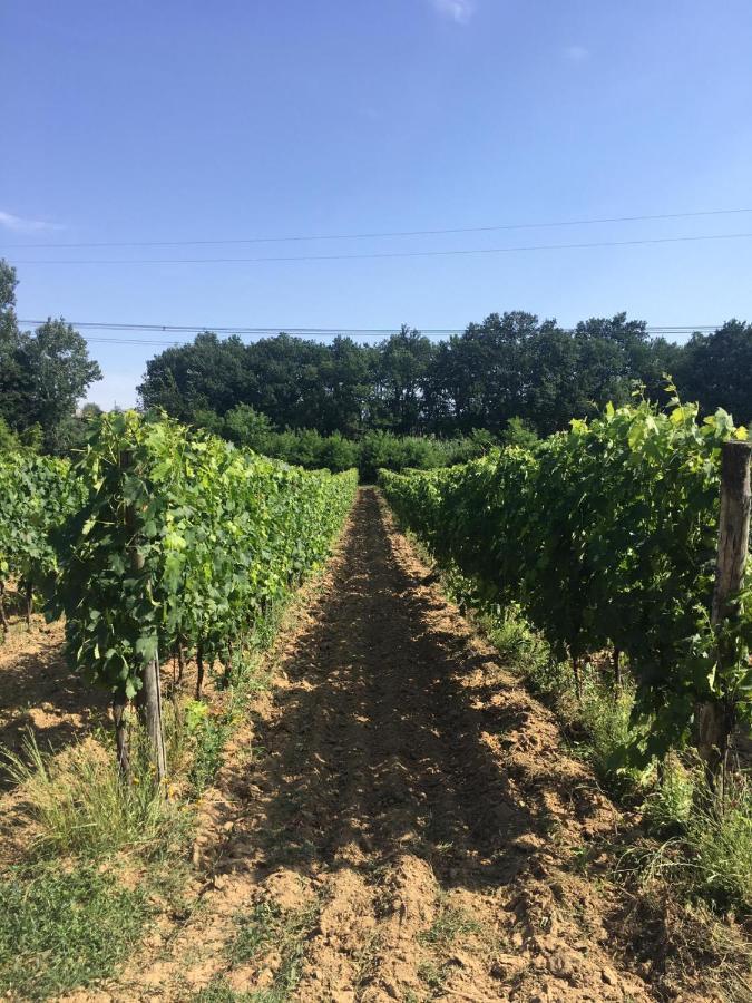 Agriturismo La Casina Nel Vigneto Larciano Luaran gambar