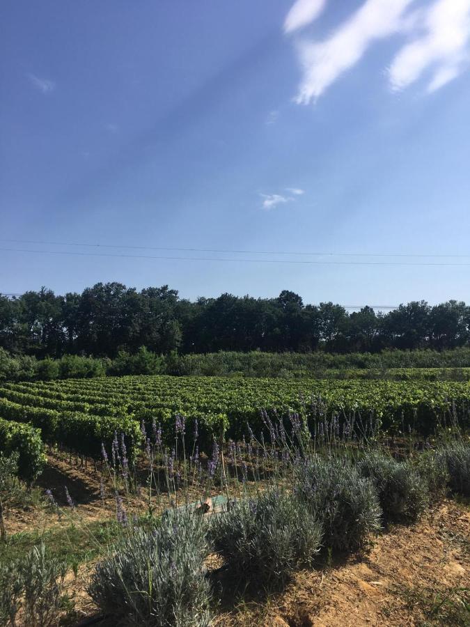 Agriturismo La Casina Nel Vigneto Larciano Luaran gambar