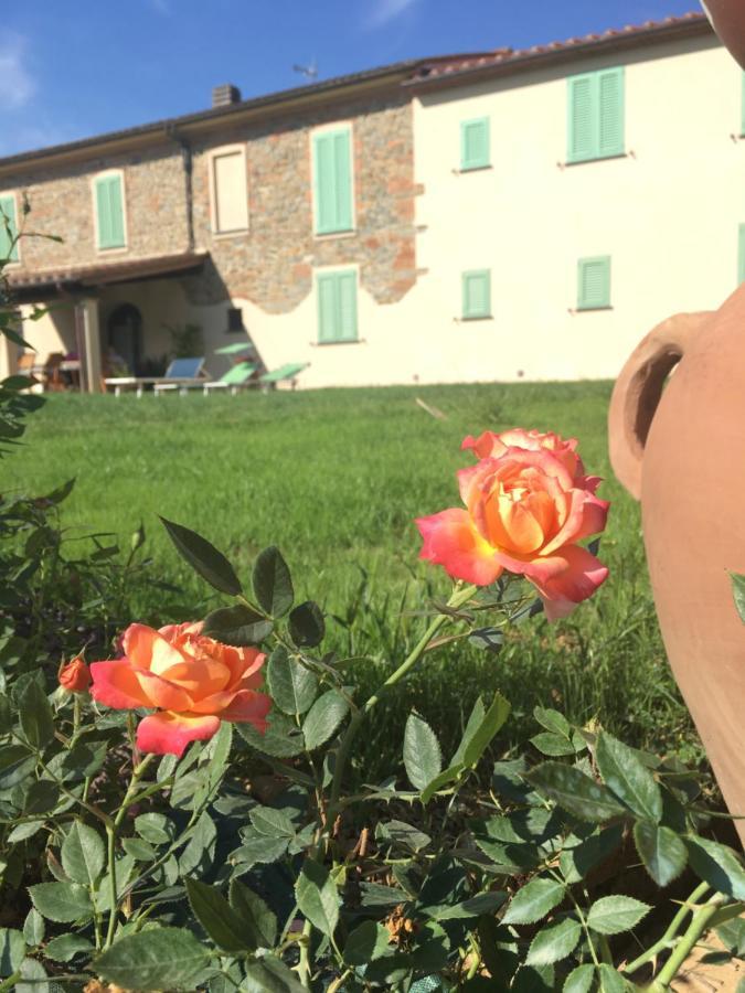 Agriturismo La Casina Nel Vigneto Larciano Luaran gambar