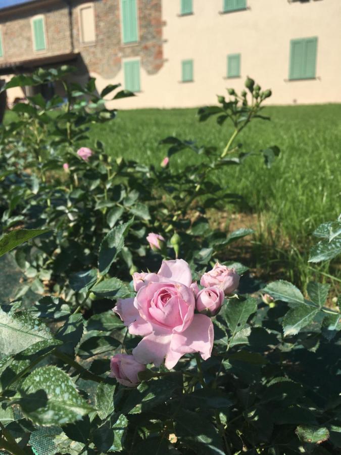 Agriturismo La Casina Nel Vigneto Larciano Luaran gambar