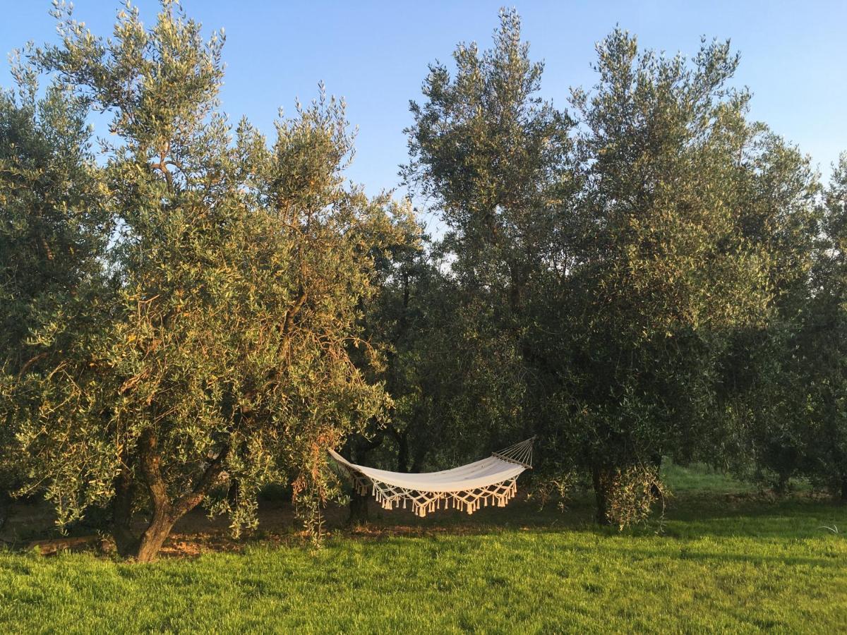Agriturismo La Casina Nel Vigneto Larciano Luaran gambar
