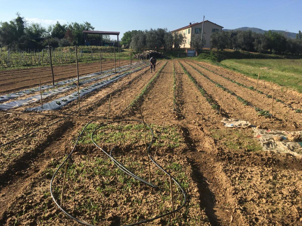 Agriturismo La Casina Nel Vigneto Larciano Luaran gambar